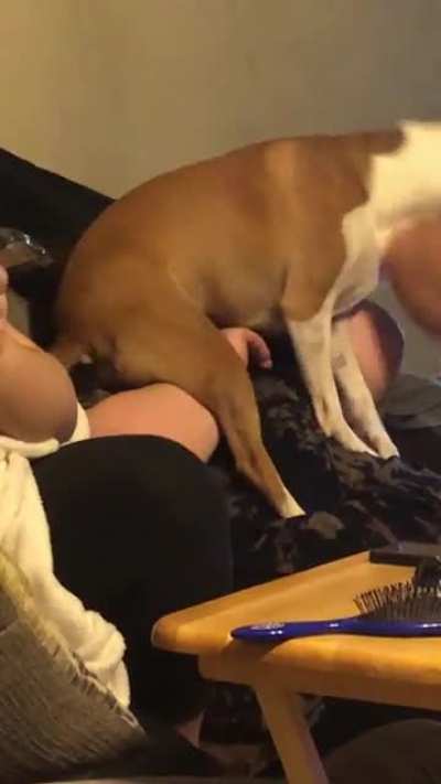 My sister’s dog sat on her face