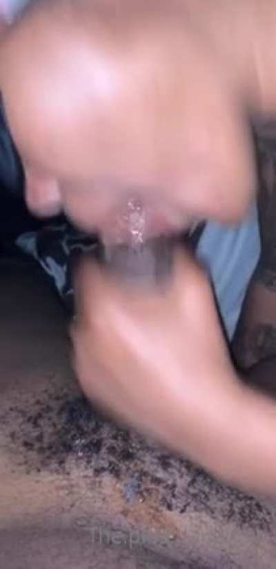 The.p<wbr>lug.d<wbr>aughe<wbr>r