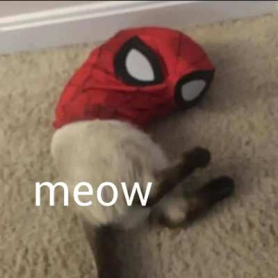 Meow