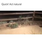 This vid just made my day even better