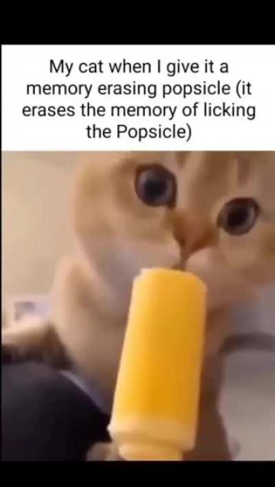 🙀