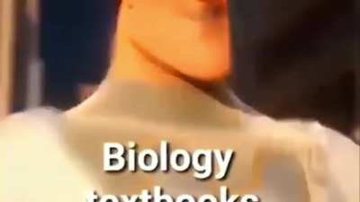 🏳️‍🌈
