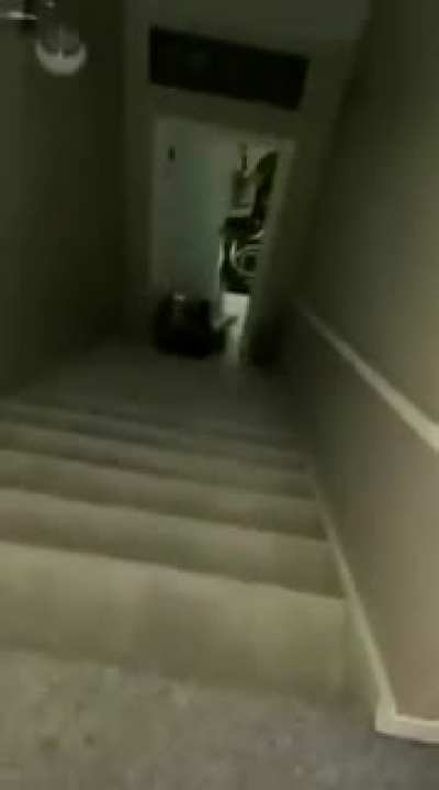 Looks like a rolling scorpion to me