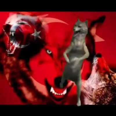 Günlük doz alalım. Auuuu