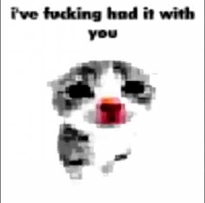 I've fucking had it with you