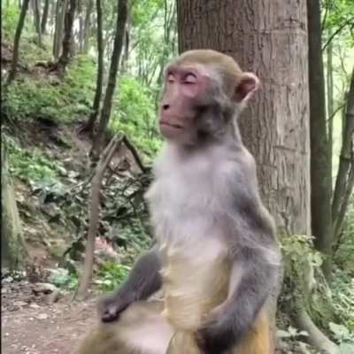 High time we realise how great meditating is!