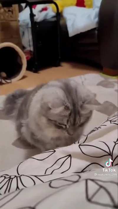 fwoomp