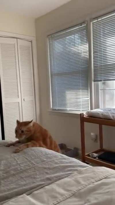 Oh lawd he flyin’