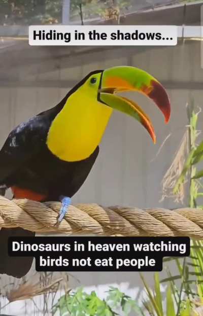 Dinosaurs seeing birds from heaven