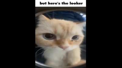 But here's the