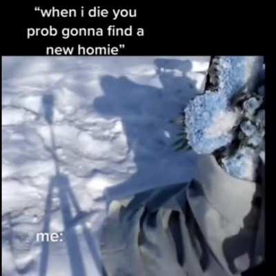 Homies