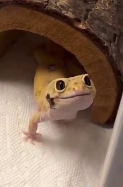 Cute Devil smile..