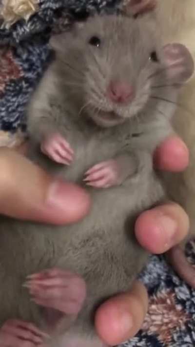 Немного милоты