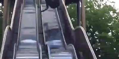 going down a slide meant for children
