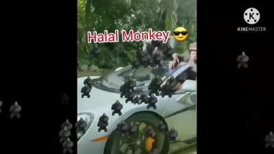 Allah 😳 part 2