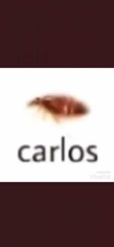 carlos