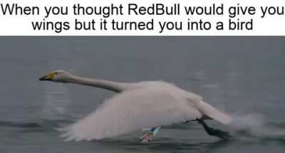 Time for a refund