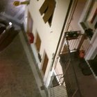 Calliano (Trentino) orso entra in paese e si fa un giro vicino casa mia