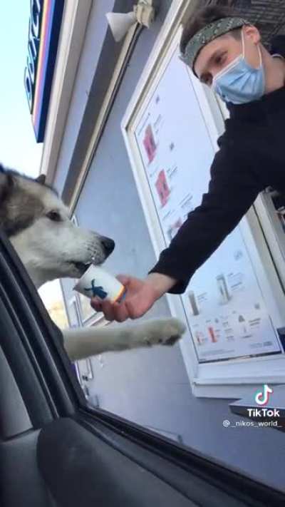 He wants his treat