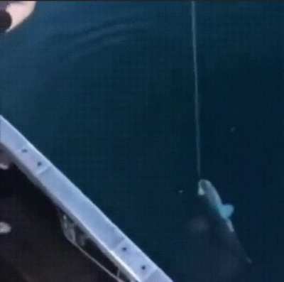 How to fish properly in America