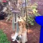 Harmonizing
