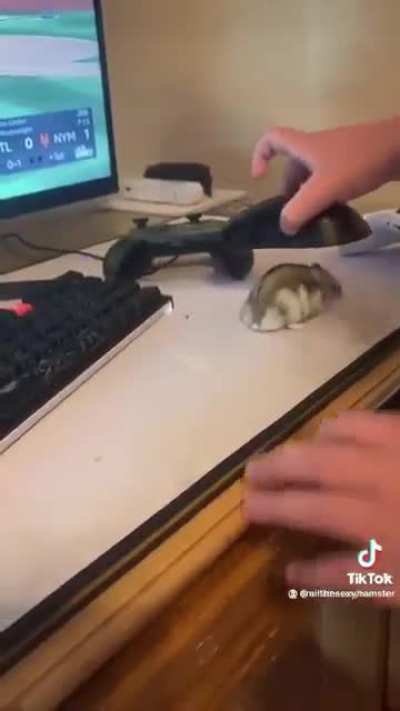 NOOOOOOOO
