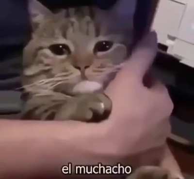 😔