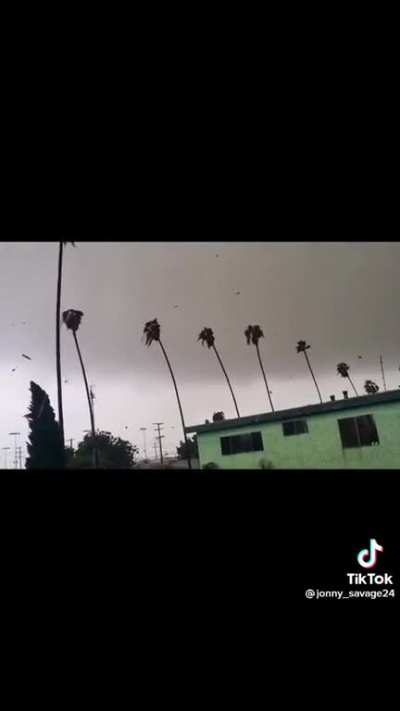 Unexpected in South Central.
