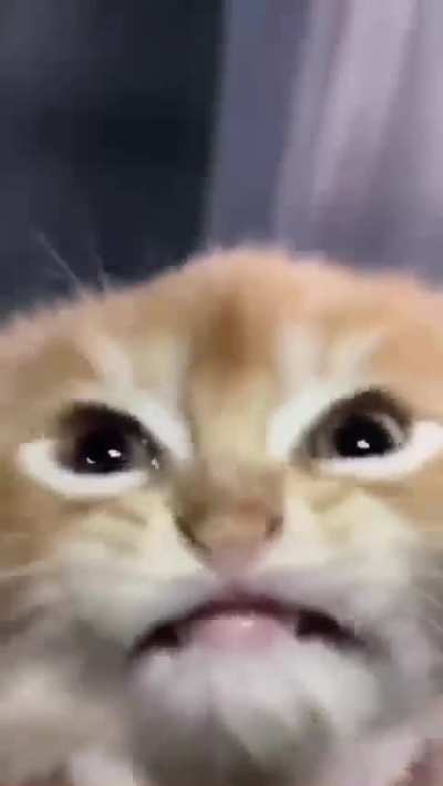 why is he so D:<