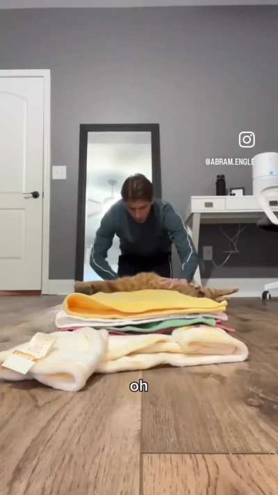 He will be the first burrito of the 2024