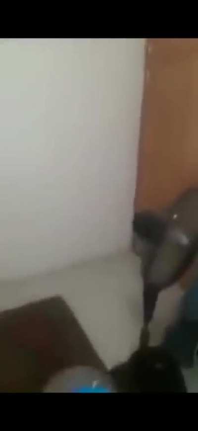 Bu videoyu komiklik bakımından ilk 3'e koyuy<wbr>orum.<wbr>(list<wbr>e benim kendi listem)