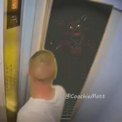 Foxy Elevator