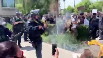 LAPD beats protesters who have their hands up