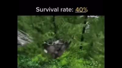 I’d survive that 🔊❌