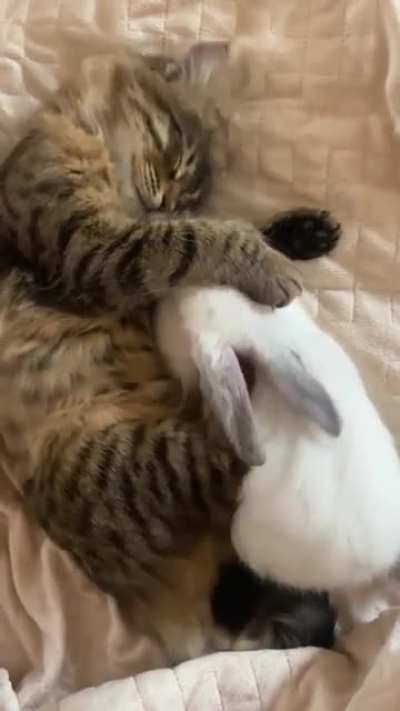 Unexpected tuck