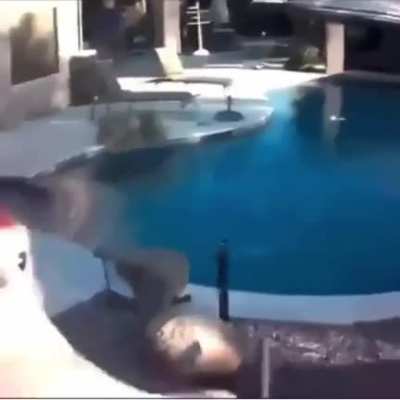 Let him in