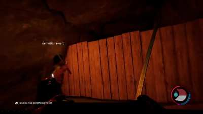 How to properly survive the forest