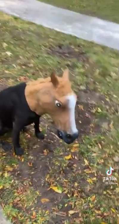 :(
