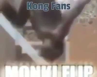 🦍🦍🦍