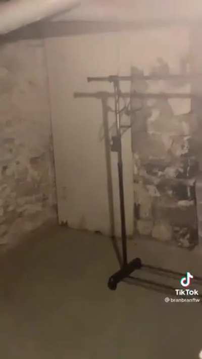 Something is in the basement