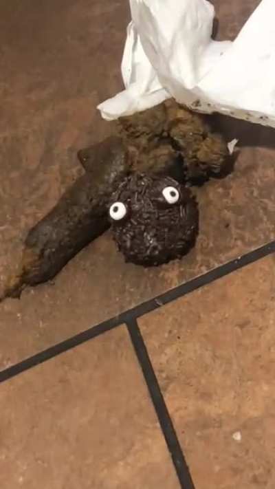 Someone took a s*** on the floor and put one of the Halloween Timbits on it.