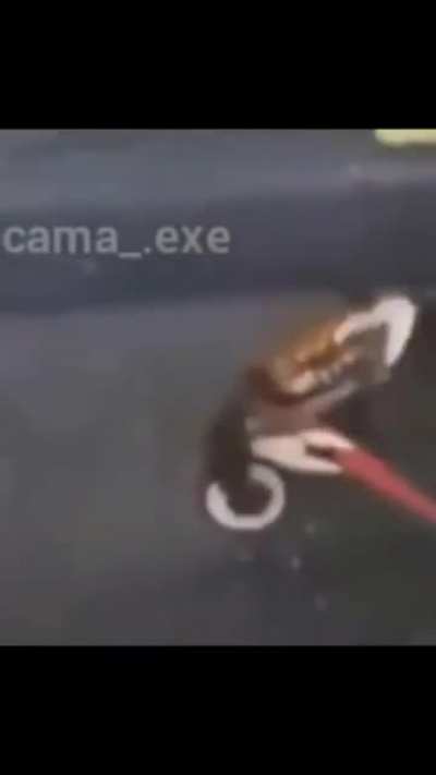 Nooo matias que te paso