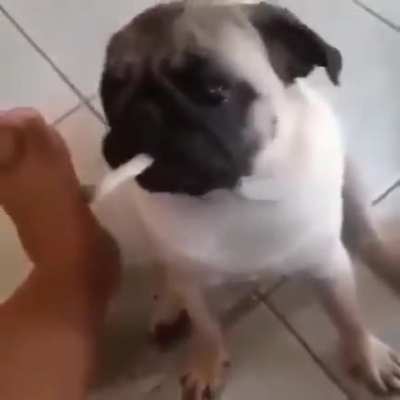 Que isso aissi?