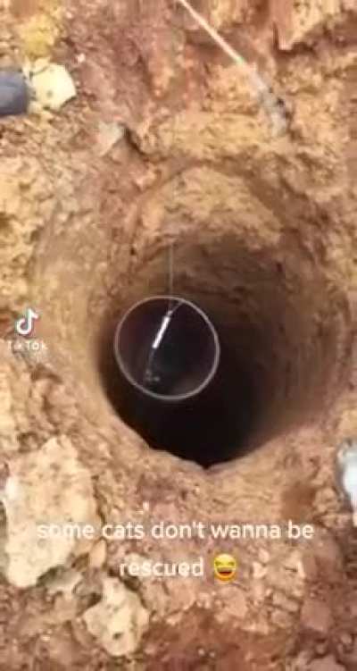 Thanks for the lifting homie! Now my people in the other hole need me!