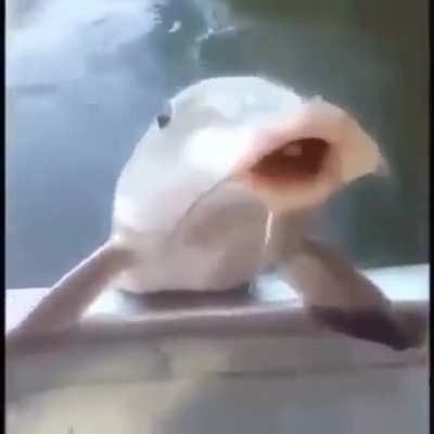 😳😳