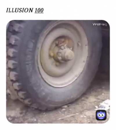 ILLUSION 100