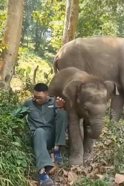 to sit and relax