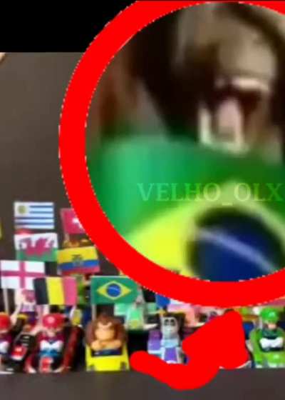 Macaco 🇧🇷