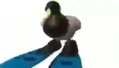 rule