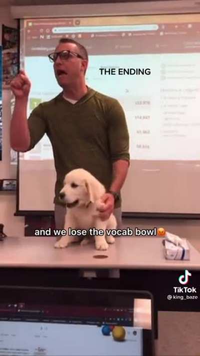 not the dog...